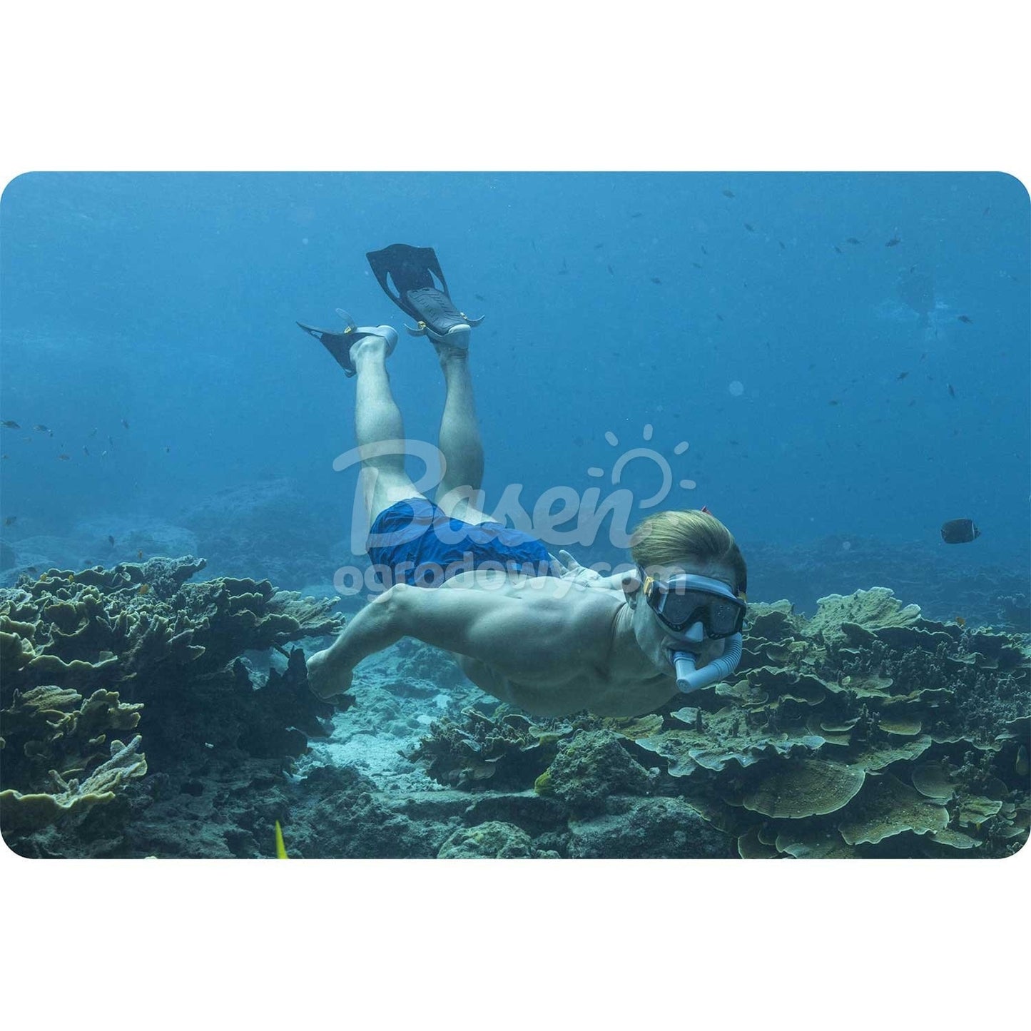 Bestway 25020 Black Diving Set