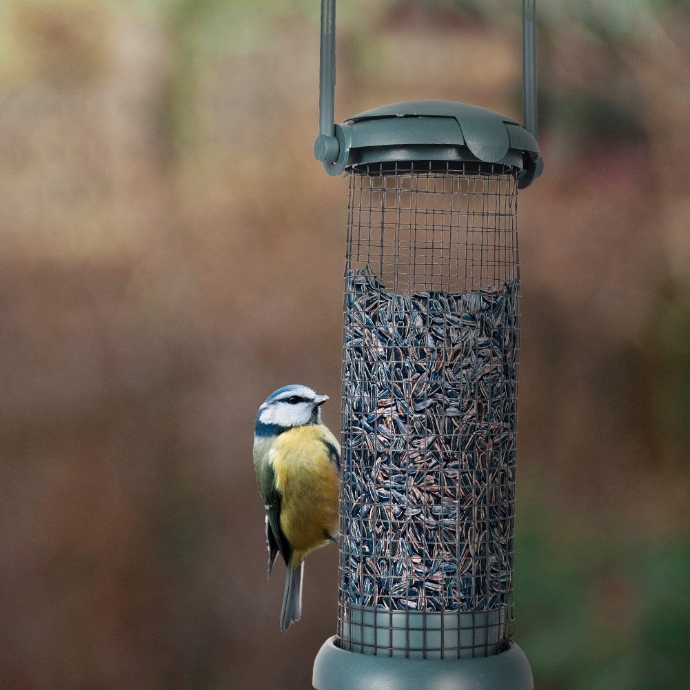Bird feeder for fat balls and seeds, perfect for the garden