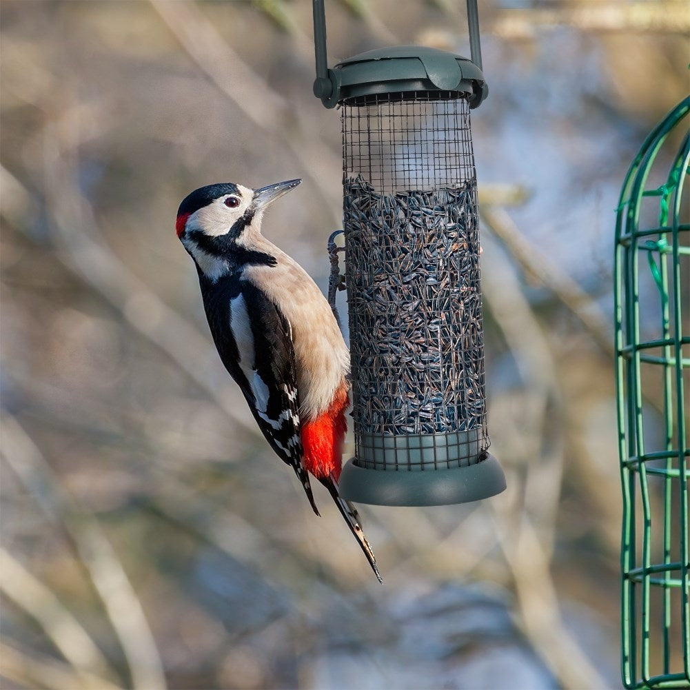 Bird feeder for fat balls and seeds, perfect for the garden