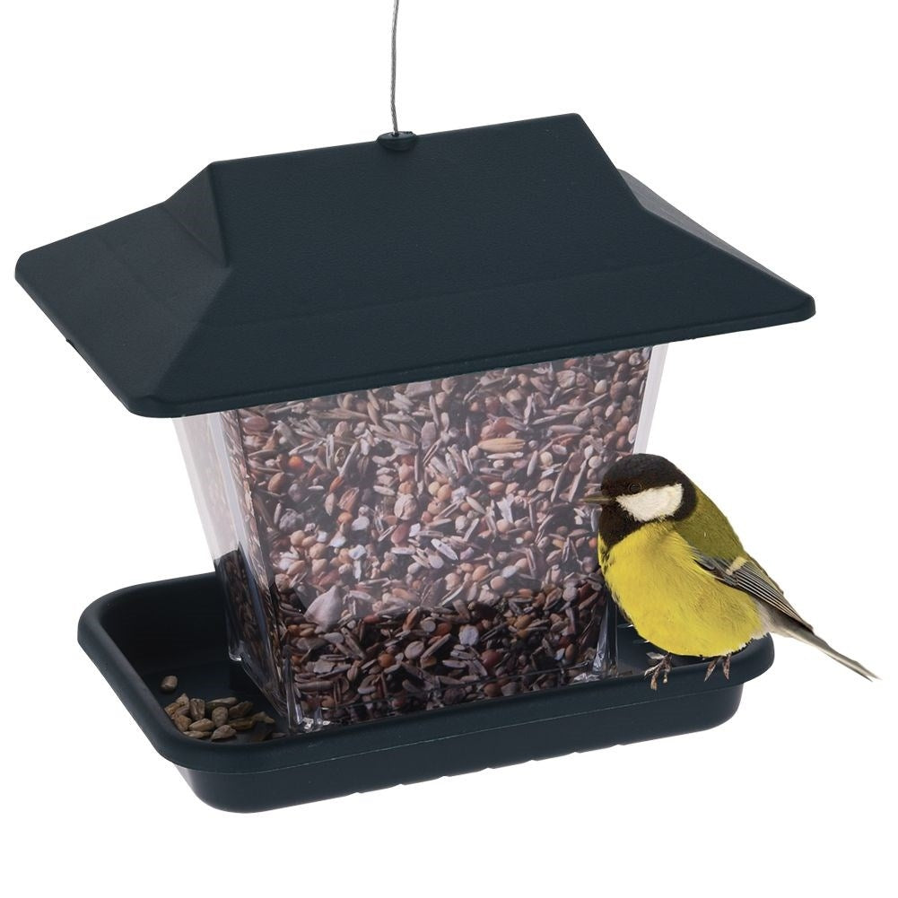 Bird feeder for seeds with 4 seats and suspension
