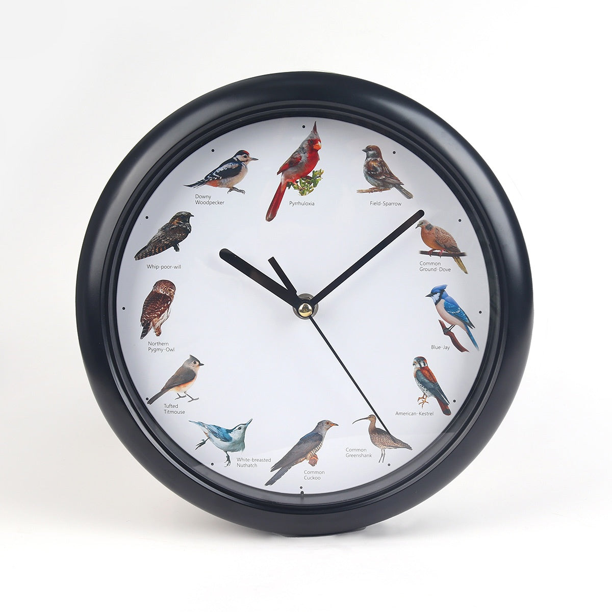 Birdsong Clock with sound