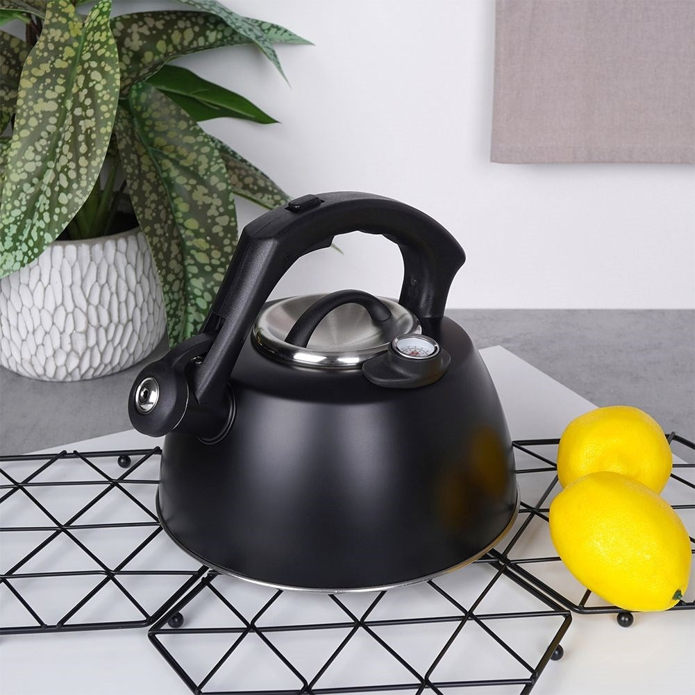 Black Kettle with Automatic Whistle and Thermometer