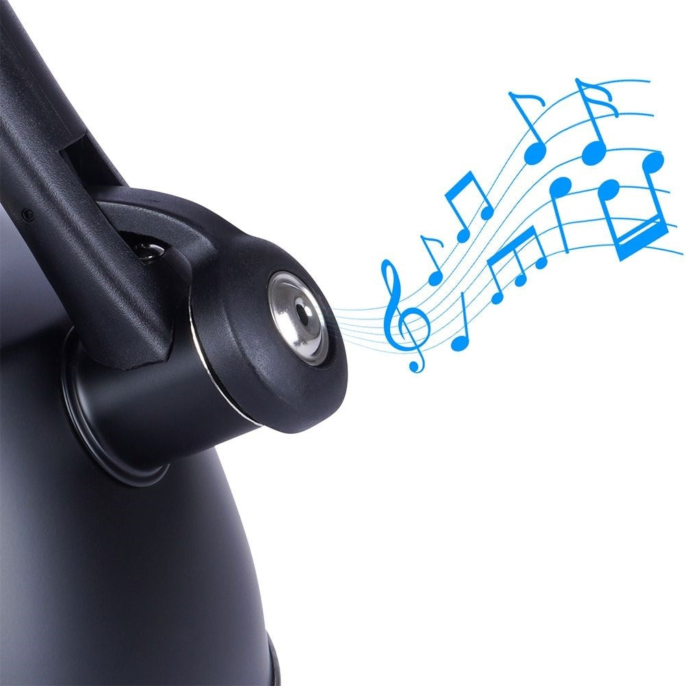 Black Kettle with Automatic Whistle and Thermometer