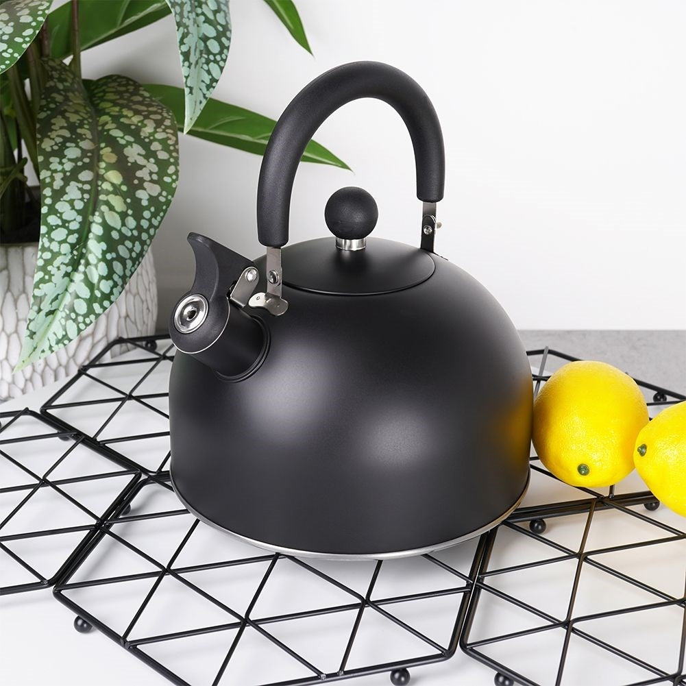 Black Matt Kettle with Whistle for All Stoves