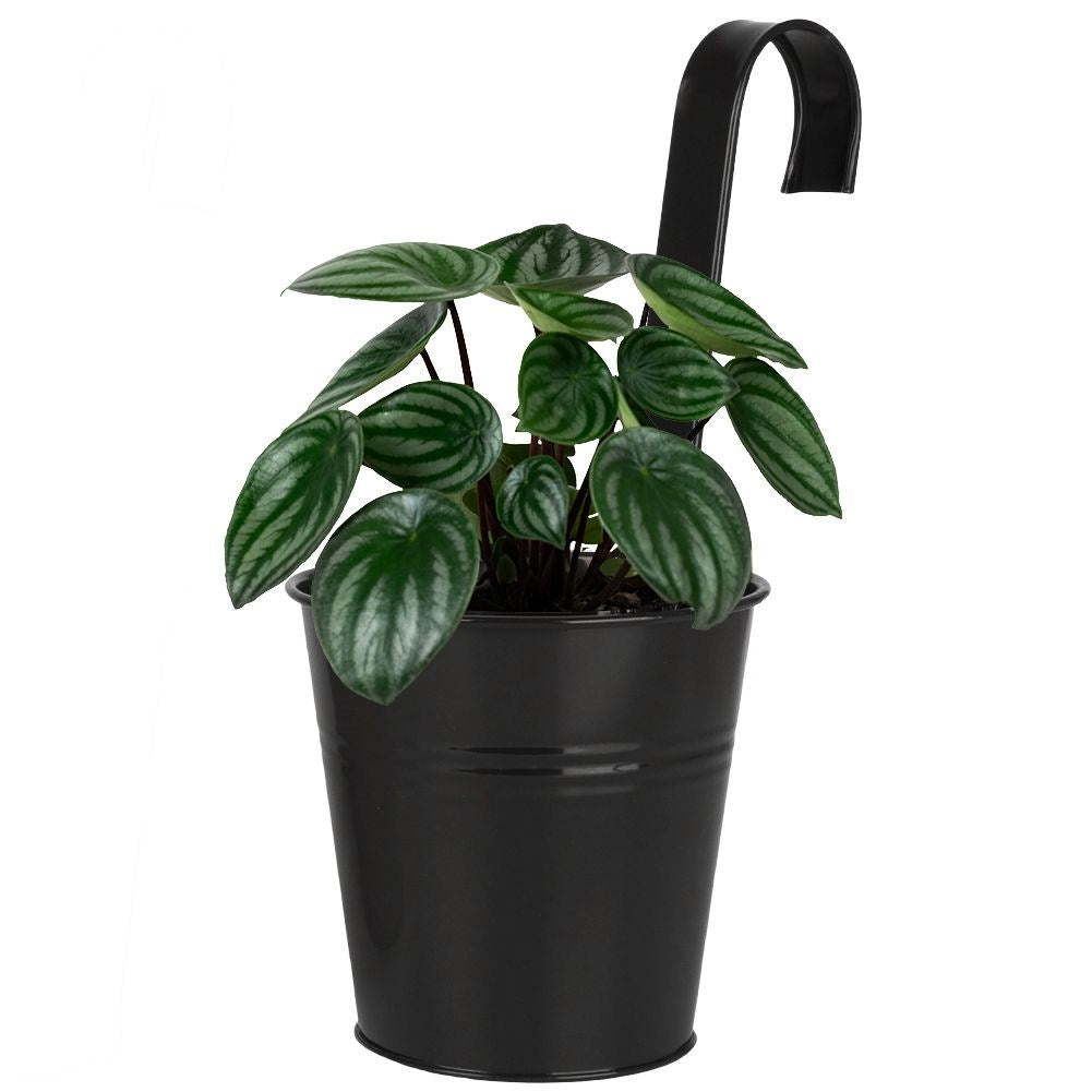 Black Metal Pot with Handle for Balcony and Terrace