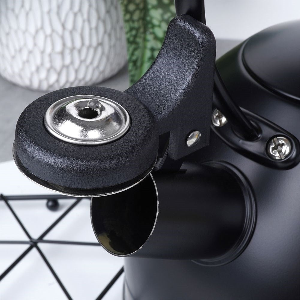 Black Stainless Kettle with Wooden Handle
