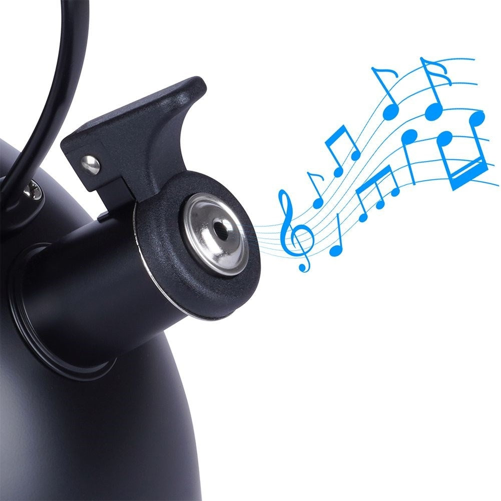 Black Stainless Kettle with Wooden Handle