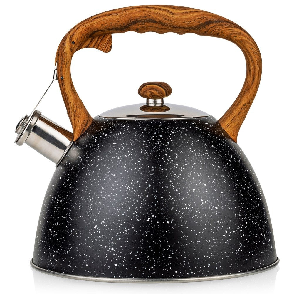 Black Whistling Kettle in Stainless Steel for All Stoves