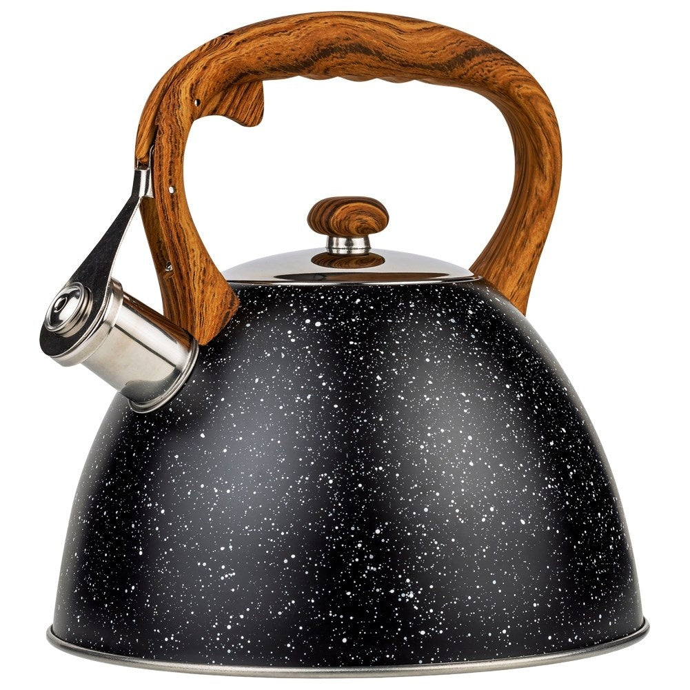 Black Whistling Kettle in Stainless Steel for All Stoves