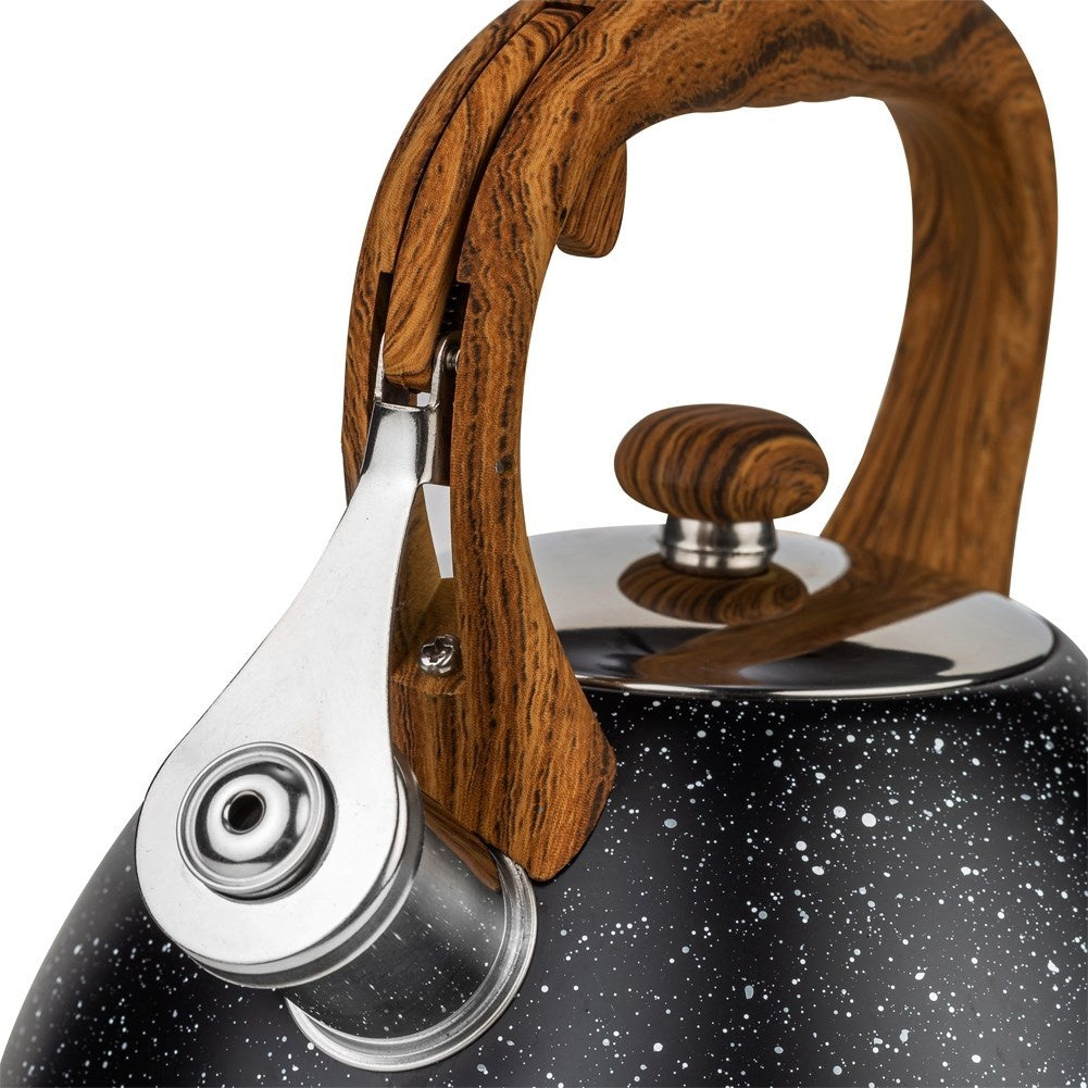 Black Whistling Kettle in Stainless Steel for All Stoves