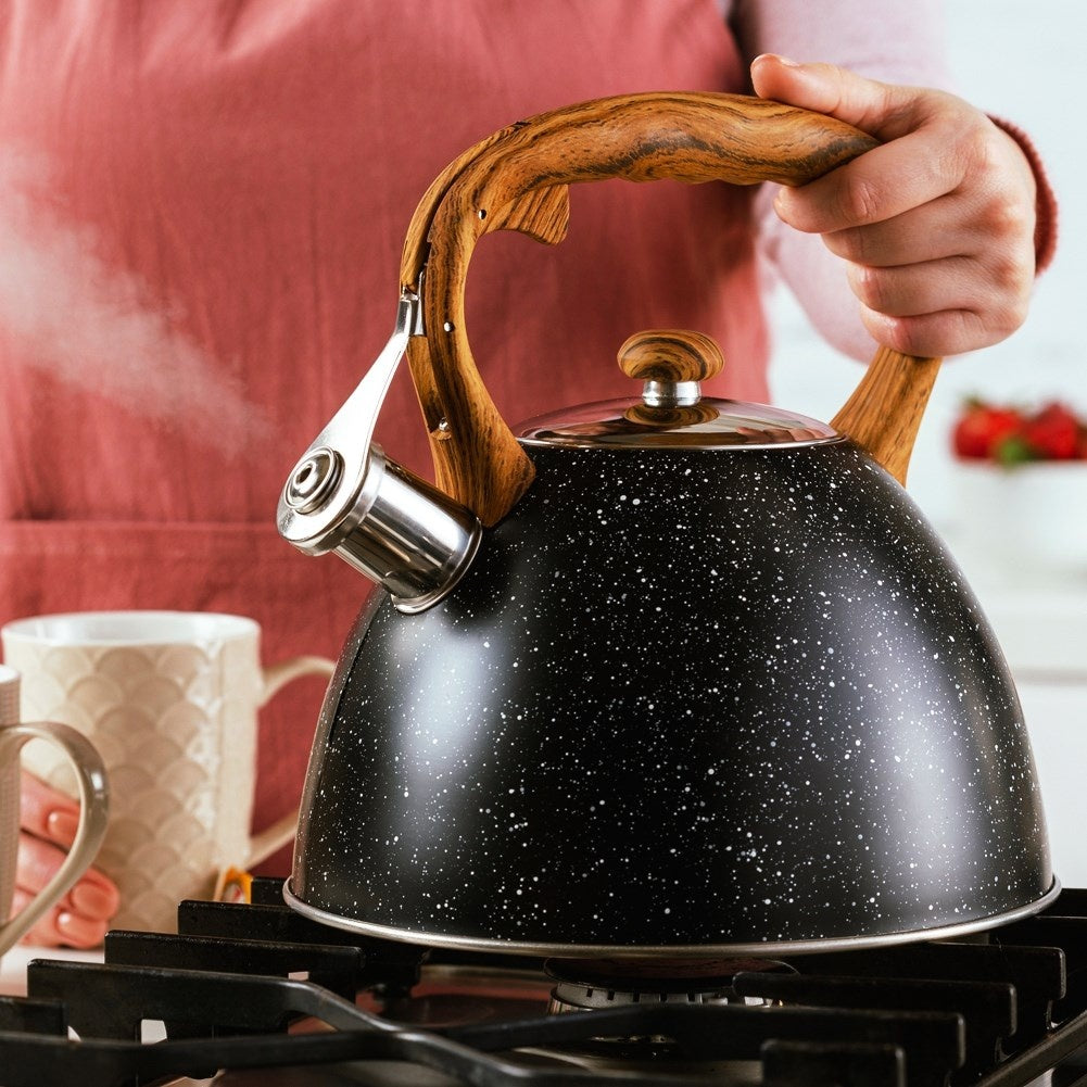 Black Whistling Kettle in Stainless Steel for All Stoves
