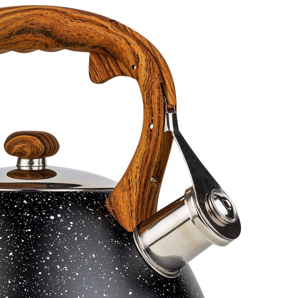Black Whistling Kettle in Stainless Steel for All Stoves