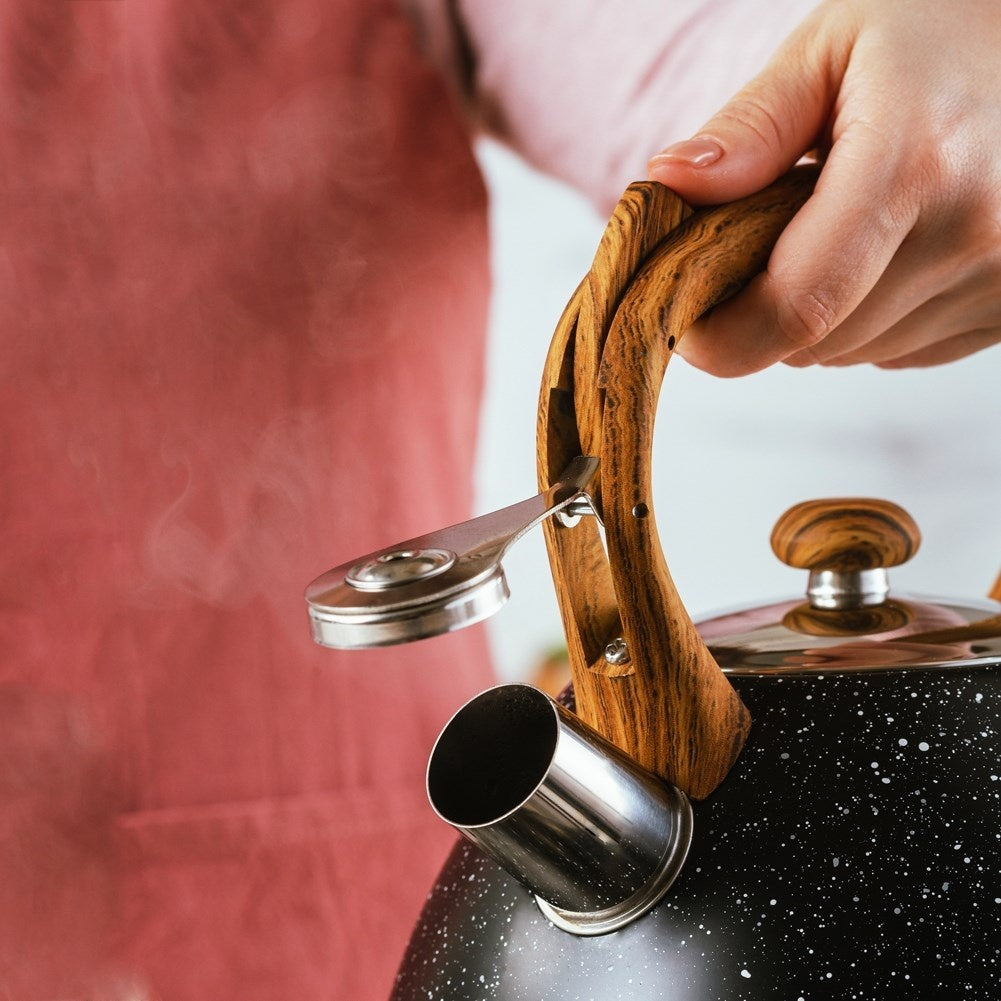 Black Whistling Kettle in Stainless Steel for All Stoves
