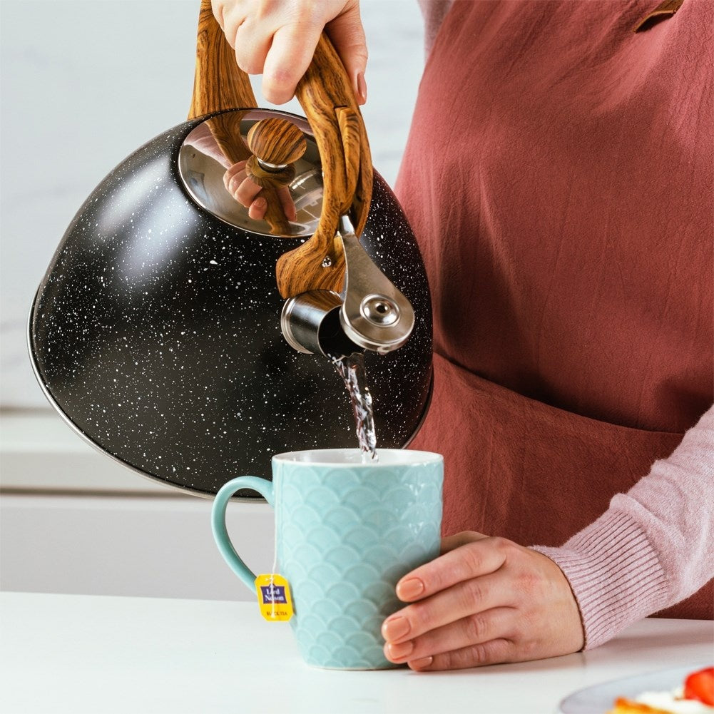 Black Whistling Kettle in Stainless Steel for All Stoves