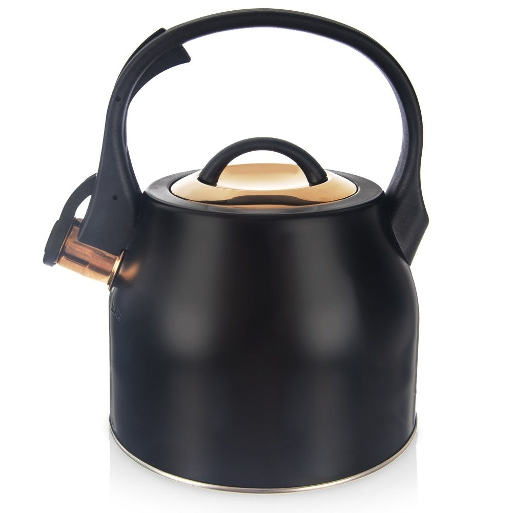 Black Whistling Kettle in Stainless Steel for Induction Hobs