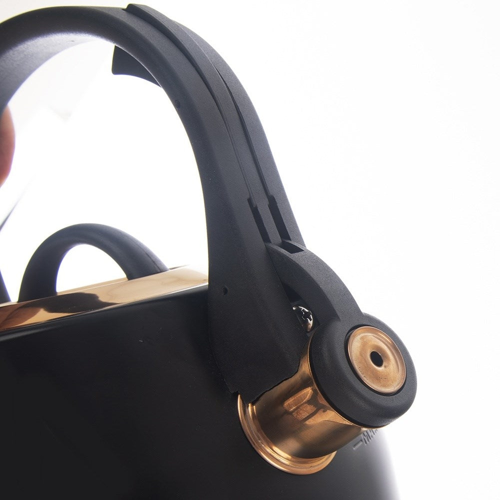 Black Whistling Kettle in Stainless Steel for Induction Hobs