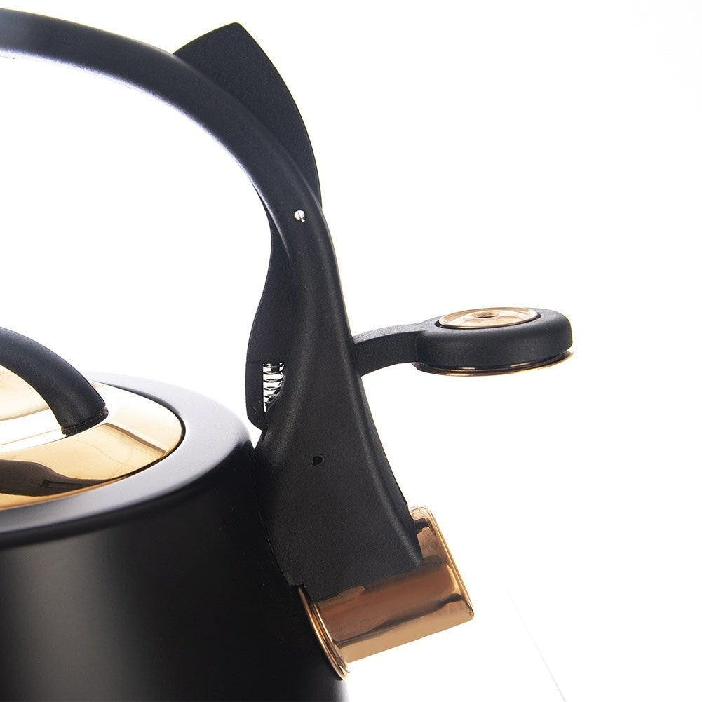 Black Whistling Kettle in Stainless Steel for Induction Hobs