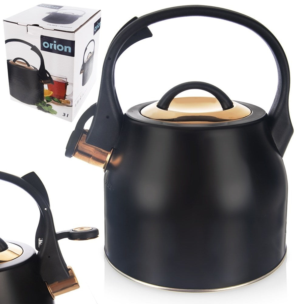 Black Whistling Kettle in Stainless Steel for Induction Hobs