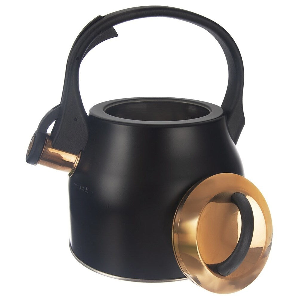 Black Whistling Kettle in Stainless Steel for Induction Hobs