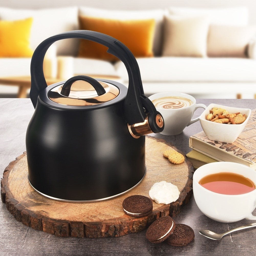 Black Whistling Kettle in Stainless Steel for Induction Hobs