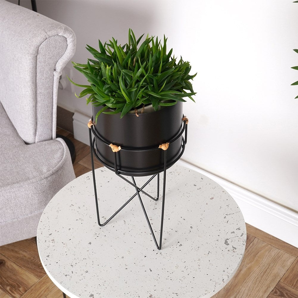 Black metal pot with stand for stylish plant display