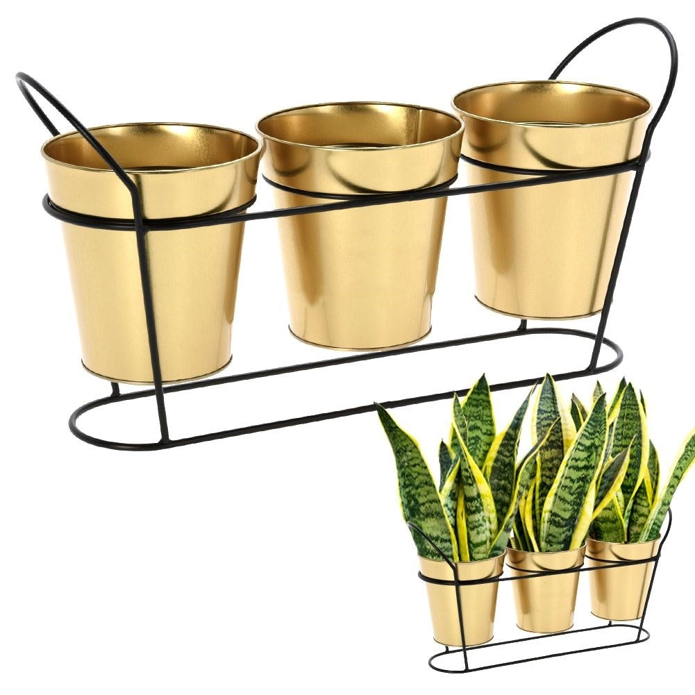 Black pot stand for three plants with gold colored pots