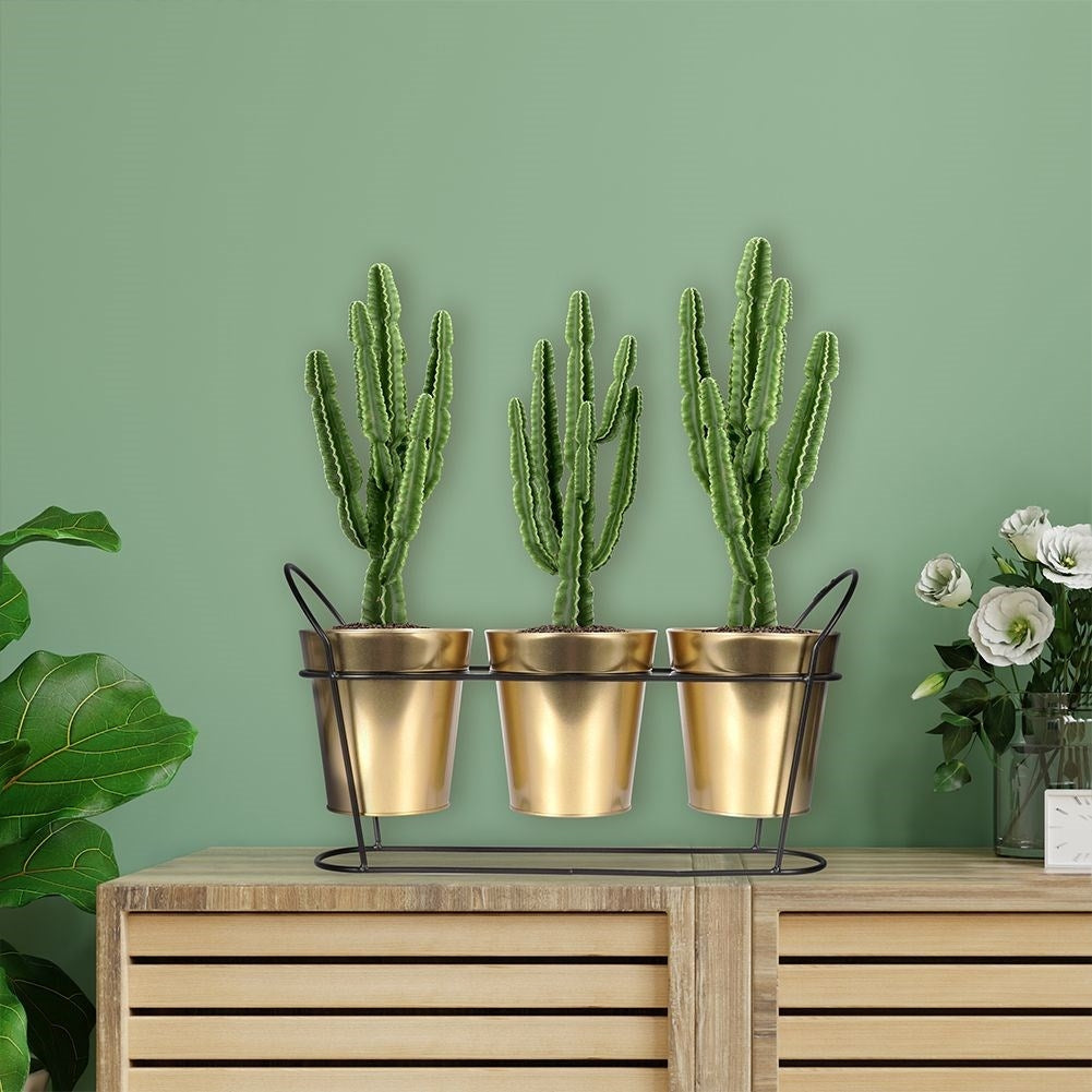Black pot stand for three plants with gold colored pots