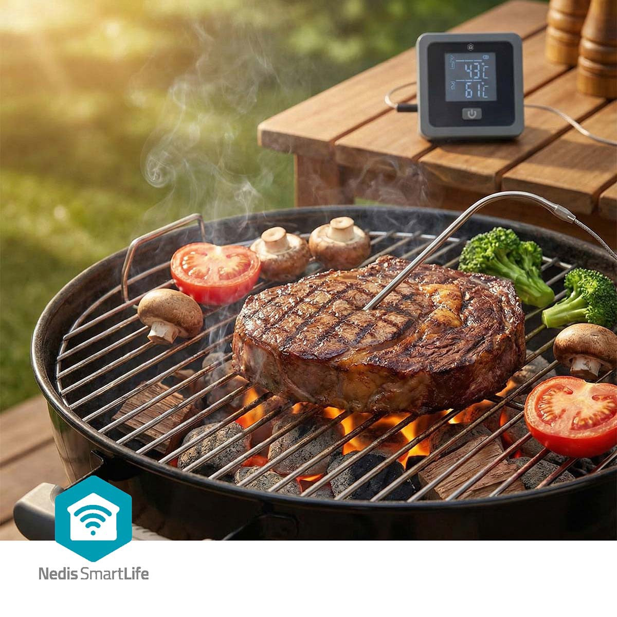 Bluetooth Meat Thermometer, Dual Probes, Smart App Control
