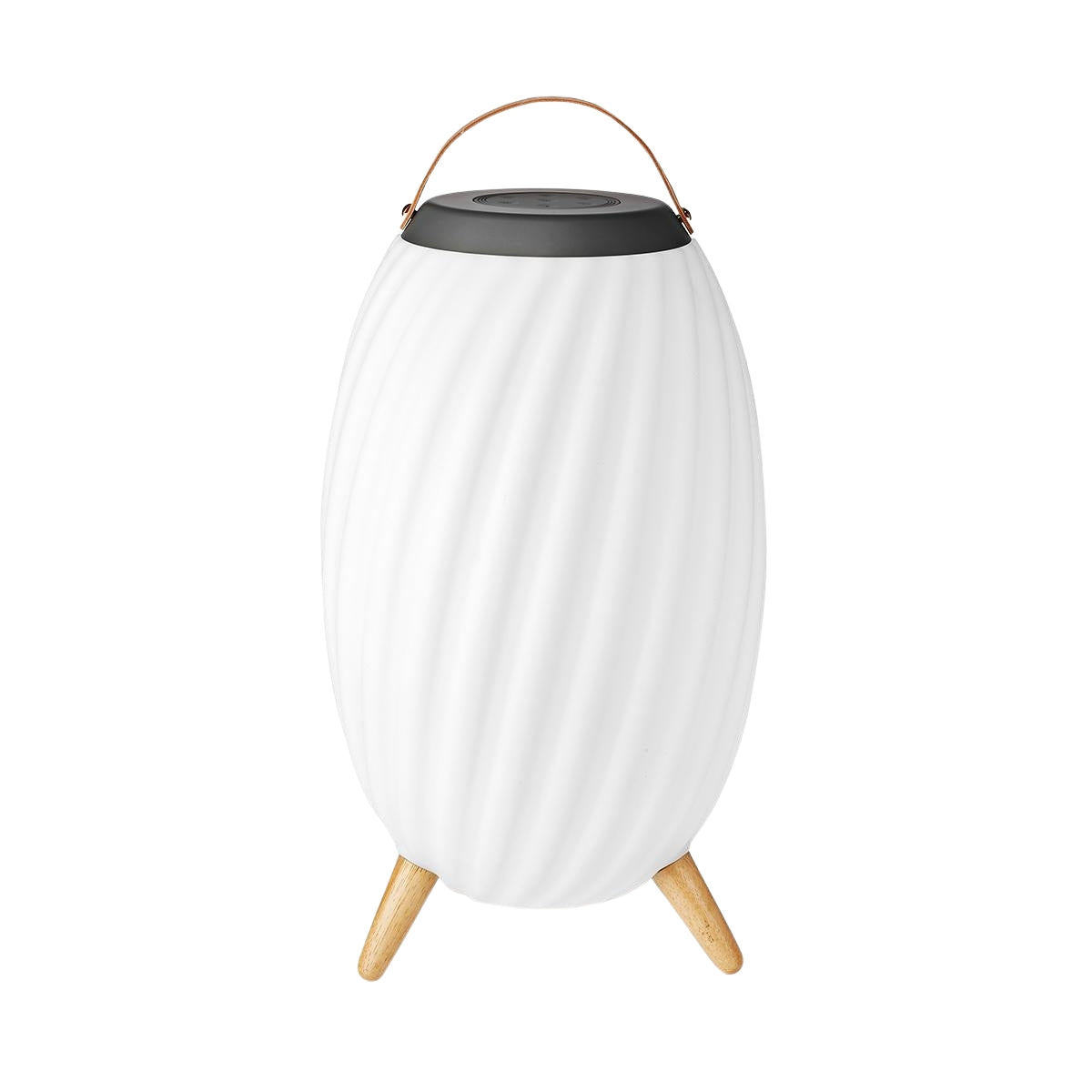 Bluetooth Speaker with Mood Light, 6-Hour Battery, IPX5