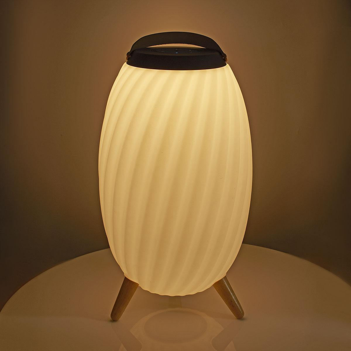Bluetooth Speaker with Mood Light, 6-Hour Battery, IPX5