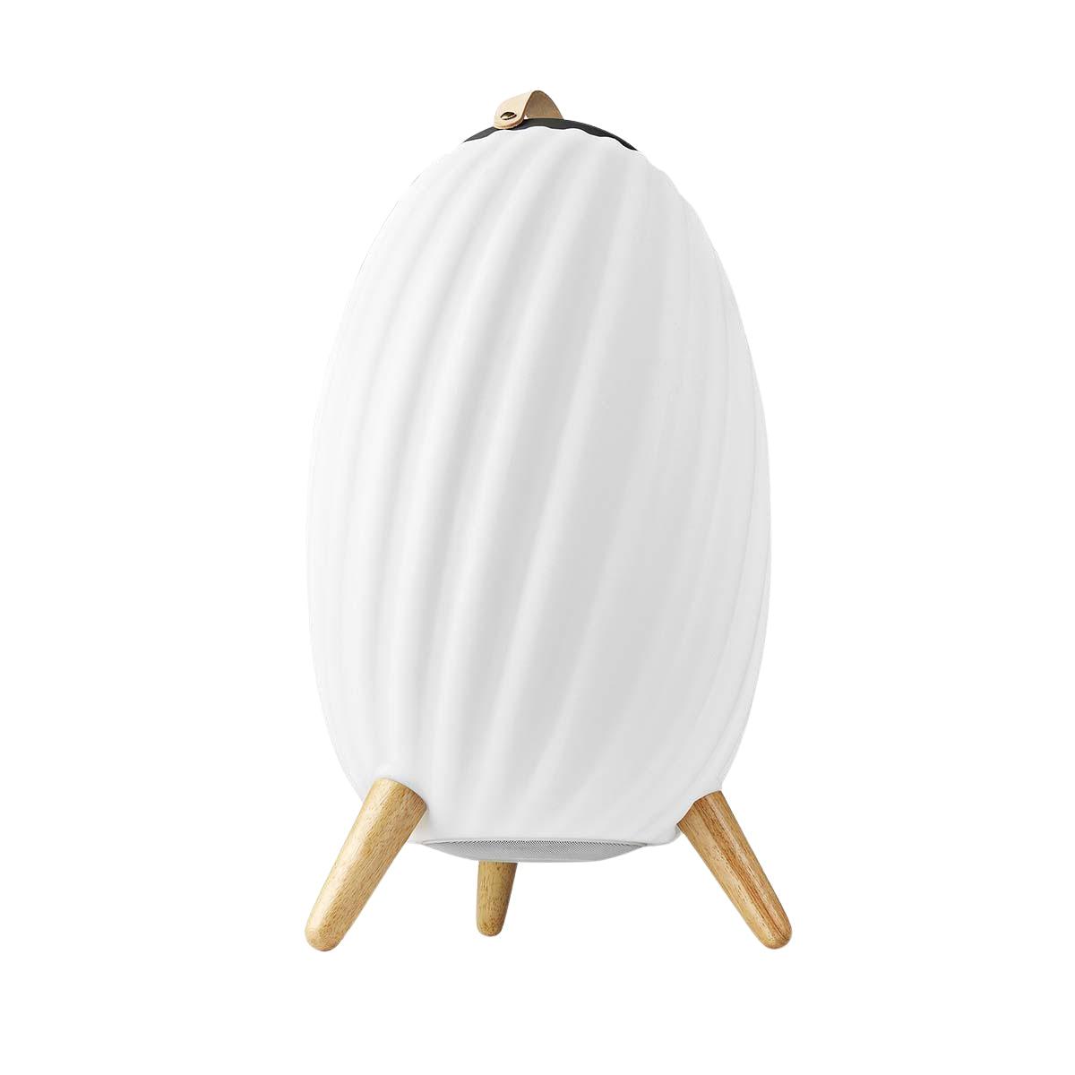 Bluetooth Speaker with Mood Light, 6-Hour Battery, IPX5