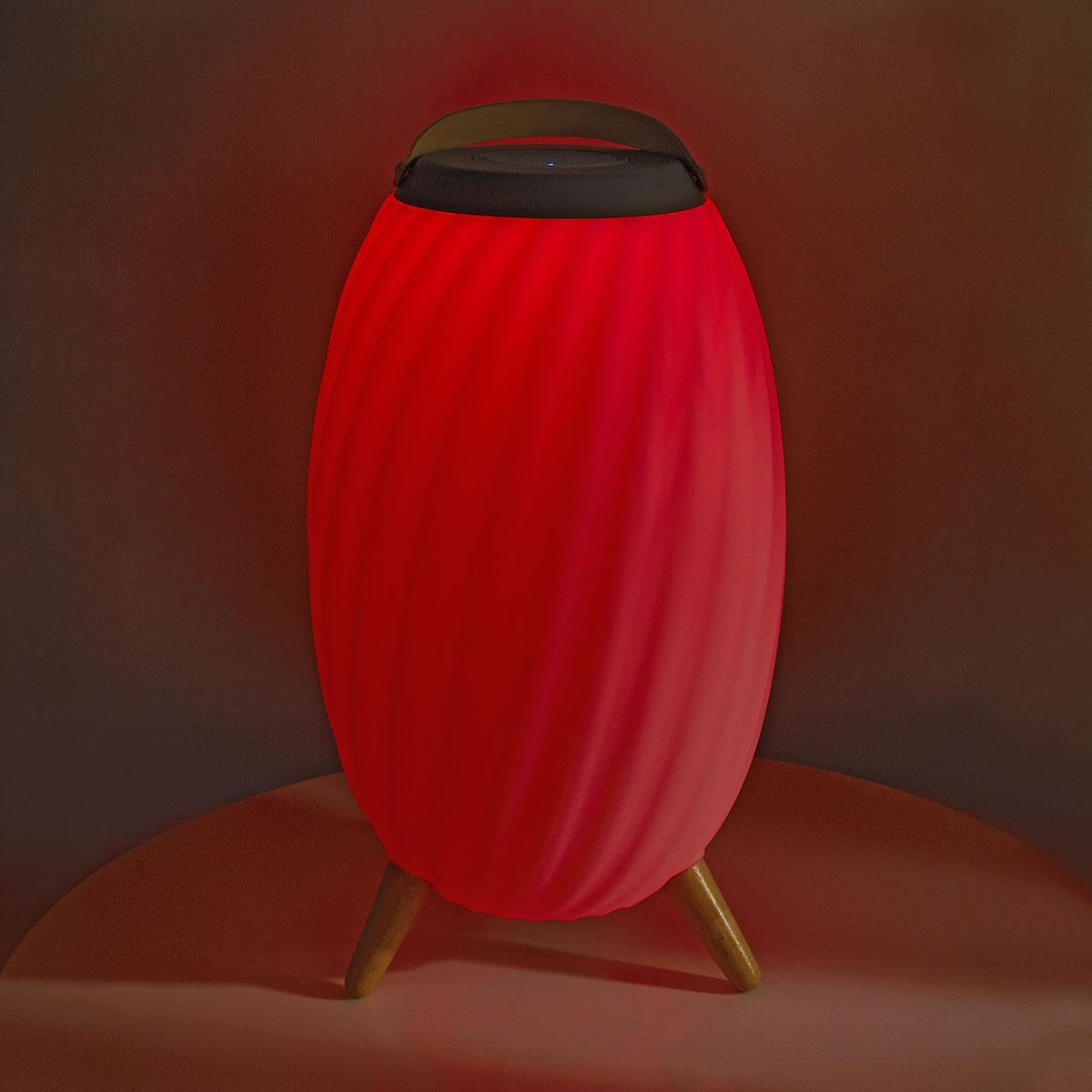 Bluetooth Speaker with Mood Light, 6-Hour Battery, IPX5