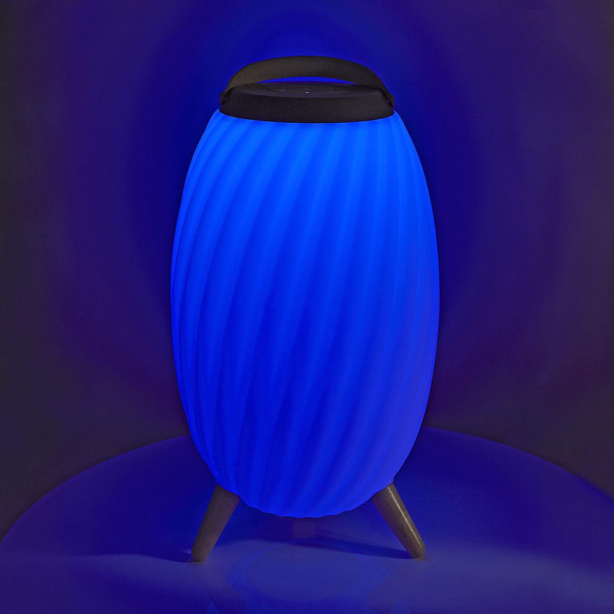 Bluetooth Speaker with Mood Light, 6-Hour Battery, IPX5