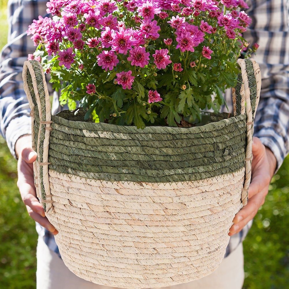 Boho Plant Basket made of Sustainable Seaweed with Practical Handles