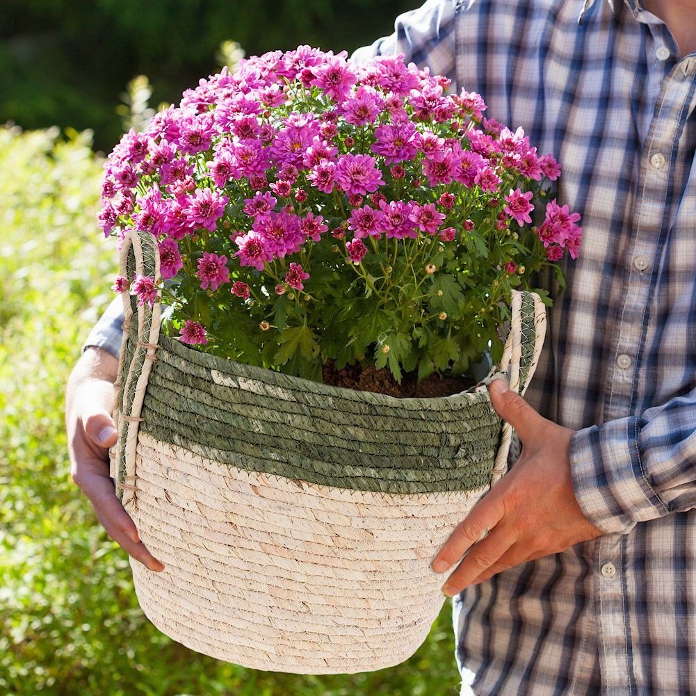 Boho Plant Basket made of Sustainable Seaweed with Practical Handles