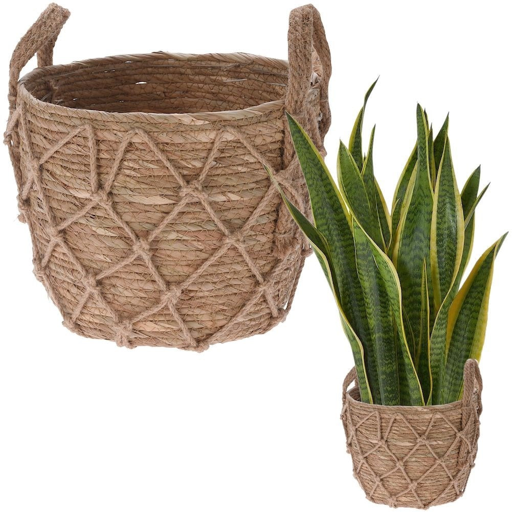 Boho flower pot in woven basket of sea grass with handle