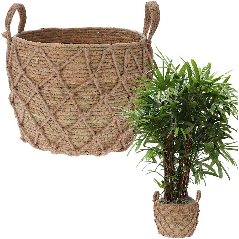 Boho plant pot in seaweed with handle
