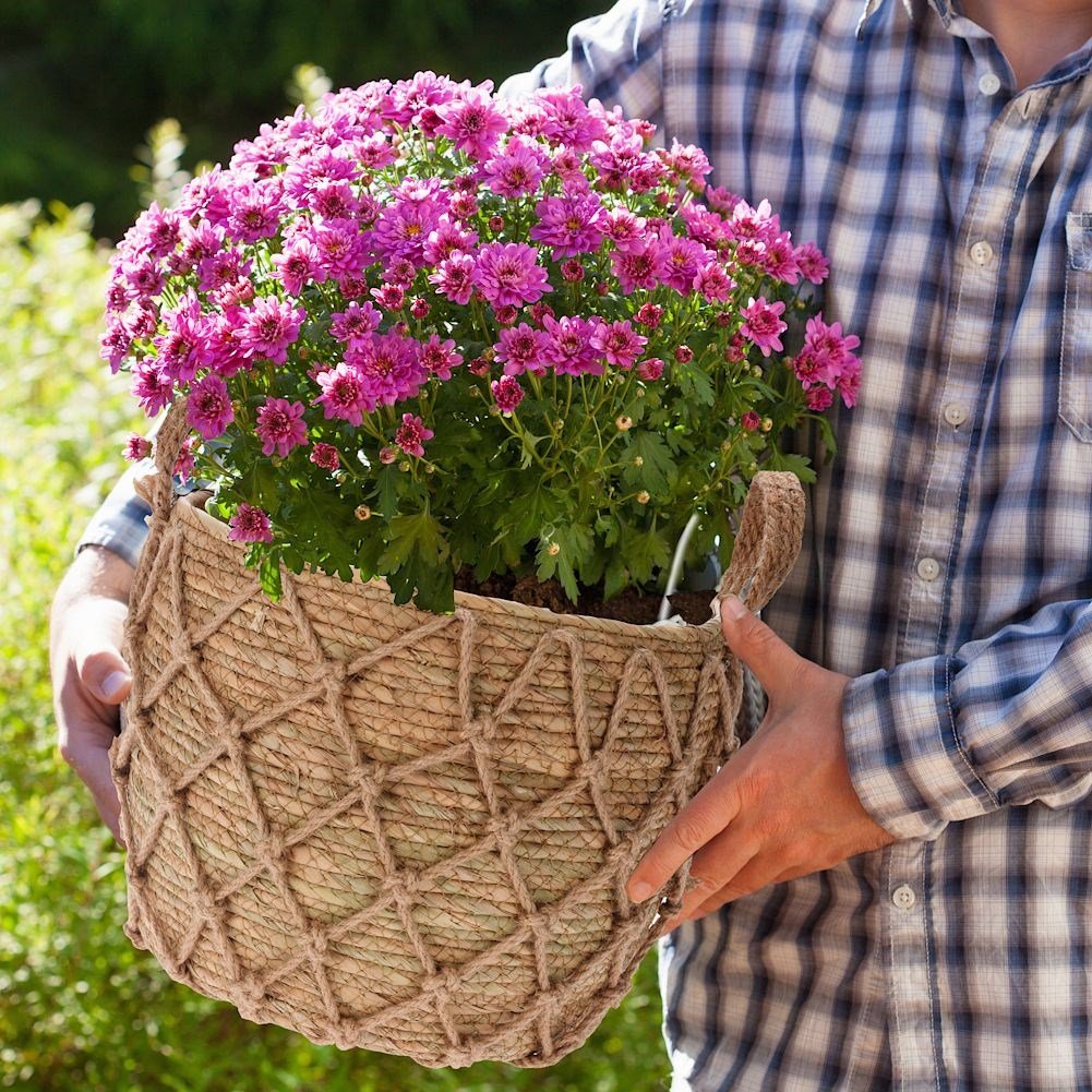 Boho plant pot in seaweed with handle