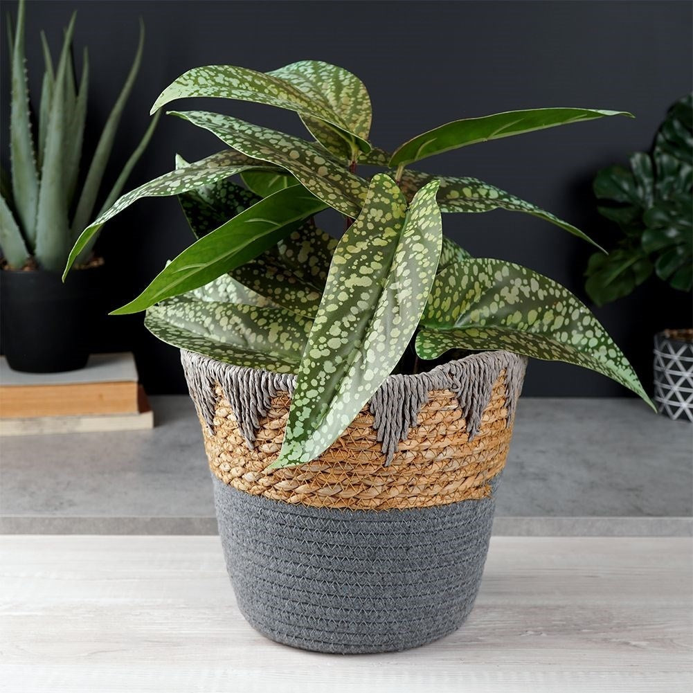 Boho pot in braided rattan for live and artificial plants
