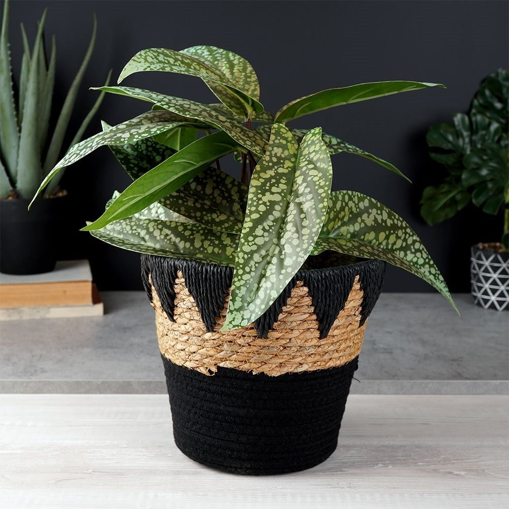 Boho pot in rattan, cotton and paper for all plants
