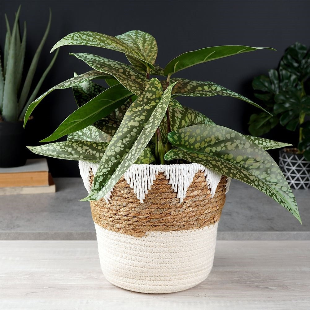 Boho pot in woven basket, cotton and paper