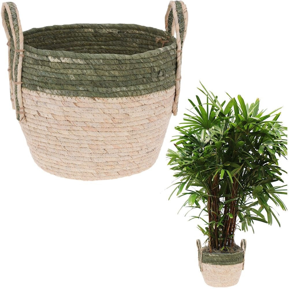 Boho pot with plant in natural seagrass basket with handle