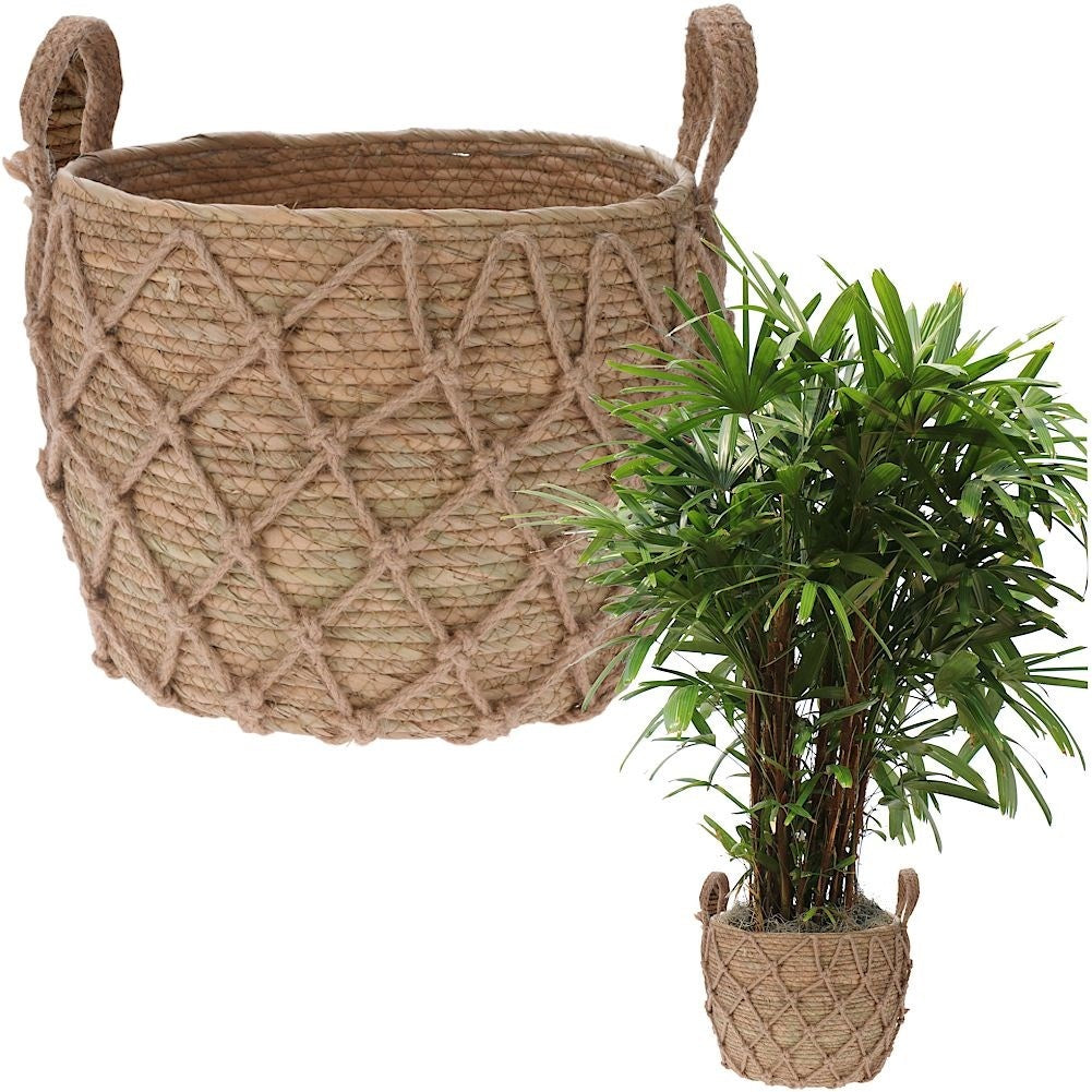 Boho style wicker pot with natural seaweed and handle