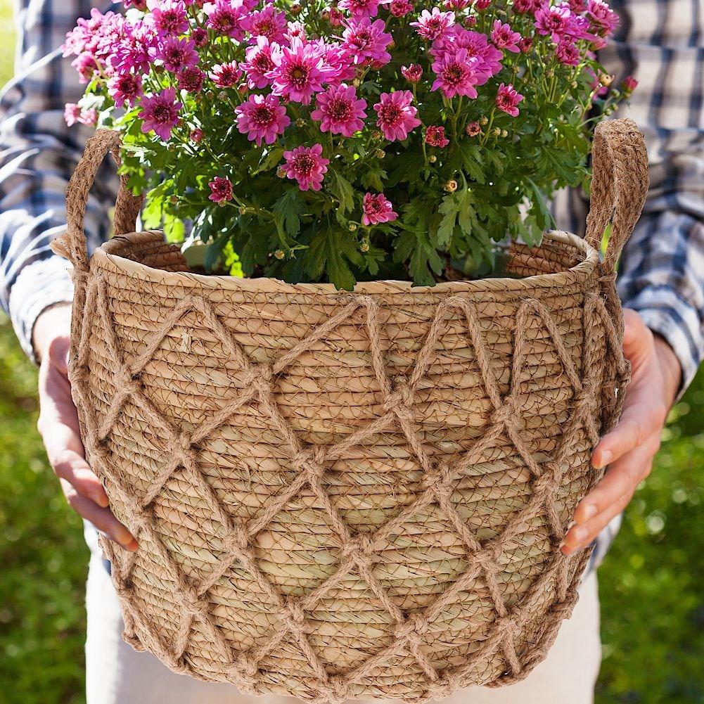 Boho style wicker pot with natural seaweed and handle