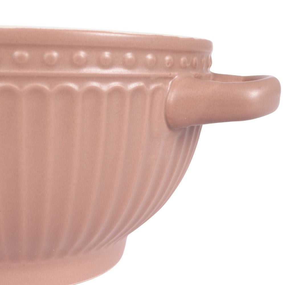 Bowl with ears for soup, cereal, yogurt, fruit, snacks