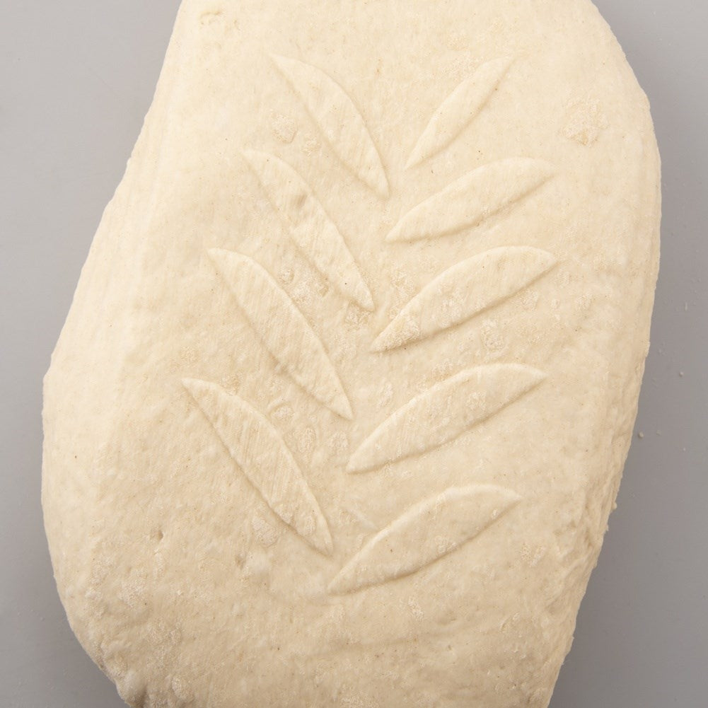 Bread basket for fermentation and storage of home-baked bread