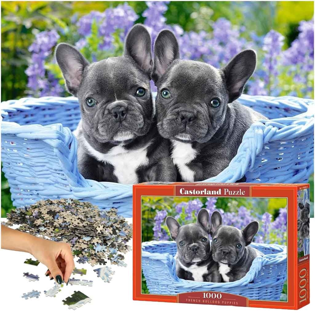 CASTORLAND Puzzle 1000 elements French Bulldog Puppies - French Bulldogs 68x47cm
