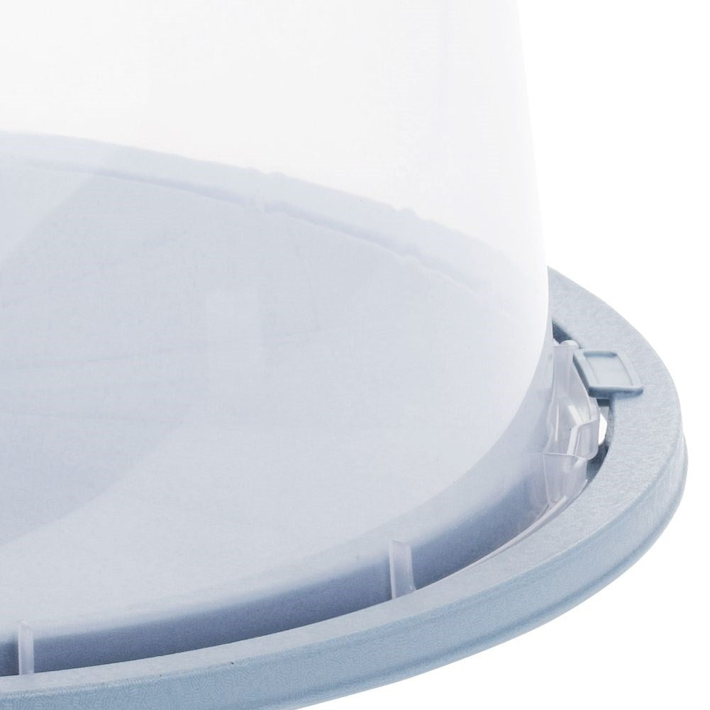 Cake and tear transporter with lid and handle, durable