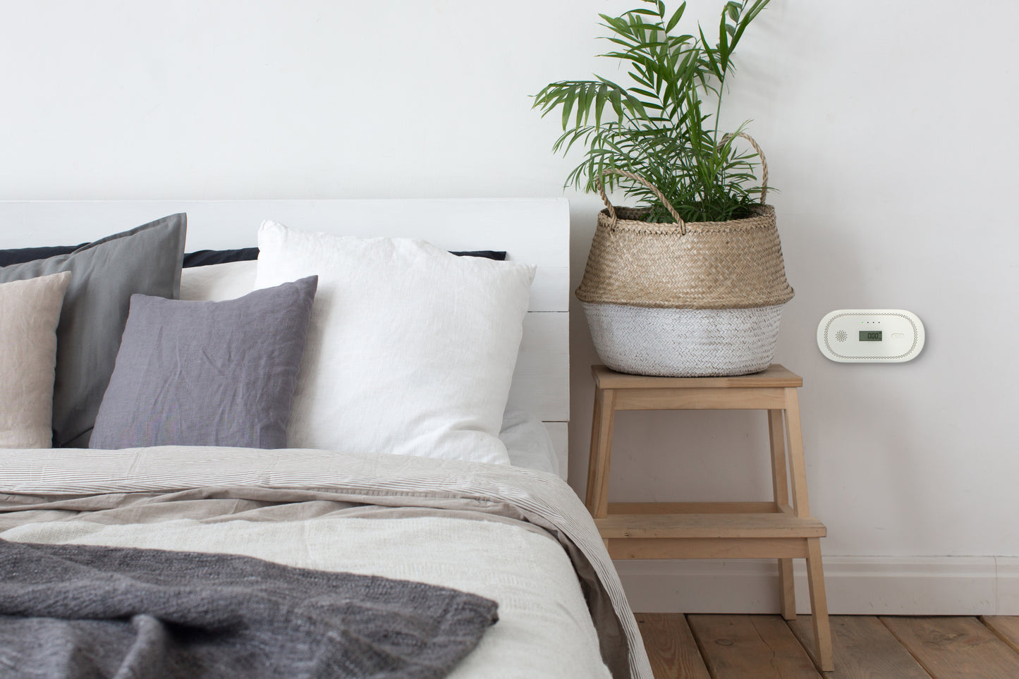 Carbon Monoxide Alarm with 10-Year Sensor and Display