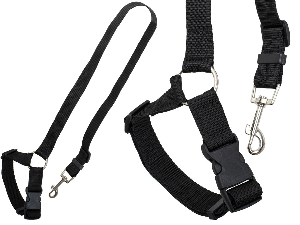 Car seat belt leash for dog cat